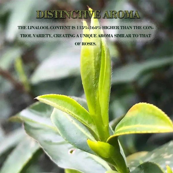 Imperial Golden Reserve 417 Heritage Tea Gilded Leaf(200g)